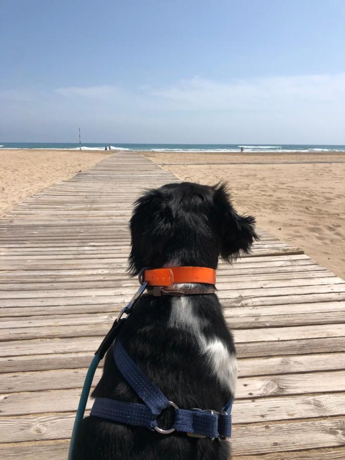 Hugo Beach Hotel Gandia Zewnętrze zdjęcie